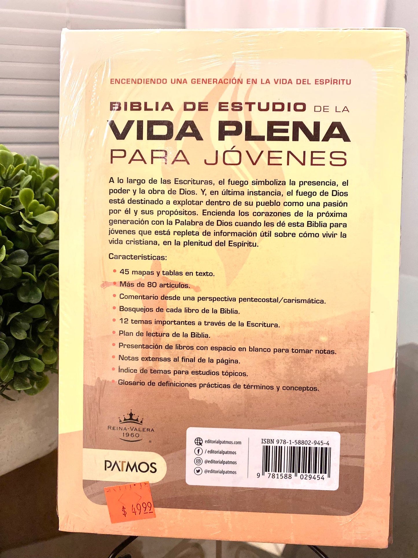 Biblia de Estudio RVR 1960-Vida Plena