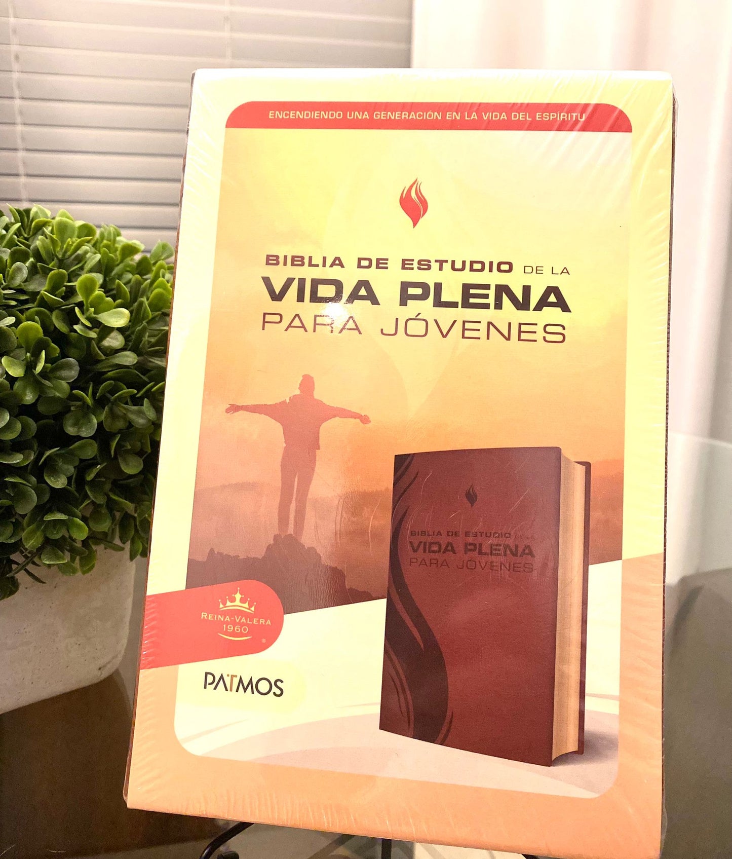 Biblia de Estudio RVR 1960-Vida Plena